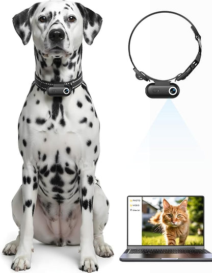 Dog & Cat Camera Collar, 1080P HD Video Recording Pet POV Cam for Medium Dogs & Large Cats, M-Size, Rechargeable Mini Action Camera with USB Playback on PC