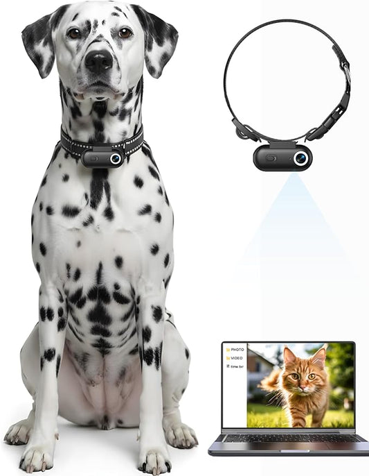 Dog & Cat Camera Collar, 1080P HD Video Recording Pet POV Cam for Medium Dogs & Large Cats, M-Size, Rechargeable Mini Action Camera with USB Playback on PC