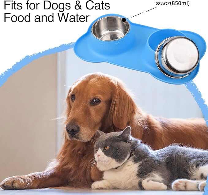 Dog Bowls 2 Stainless Steel Bowl for Pet Water and Food Feeder with Non Spill Skid Resistant Silicone Mat for Pets Puppy Small Medium Cats Dogs