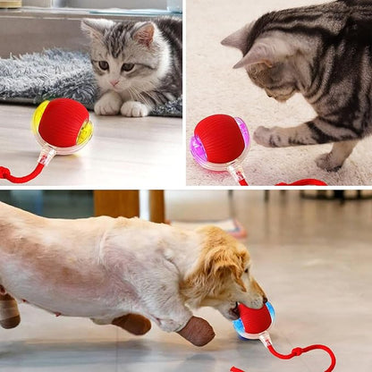 Interactive Dog Toys, Moving Dog Ball with Touch Activated, Active Rolling Ball for Puppy and Medium Dogs (Red)