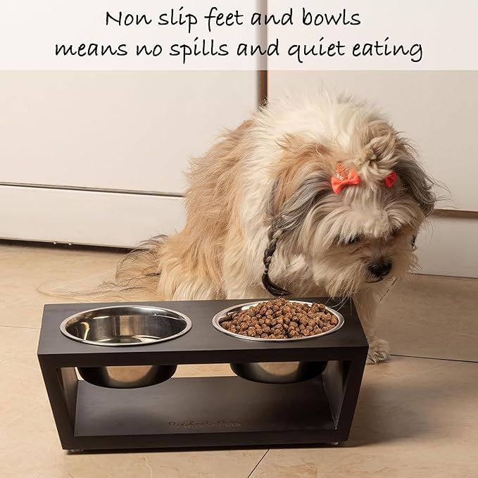 4" Tall Elevated Dog Bowls for Small Dogs, Food and Water Bowl Set by Pawfect Pets (Black)