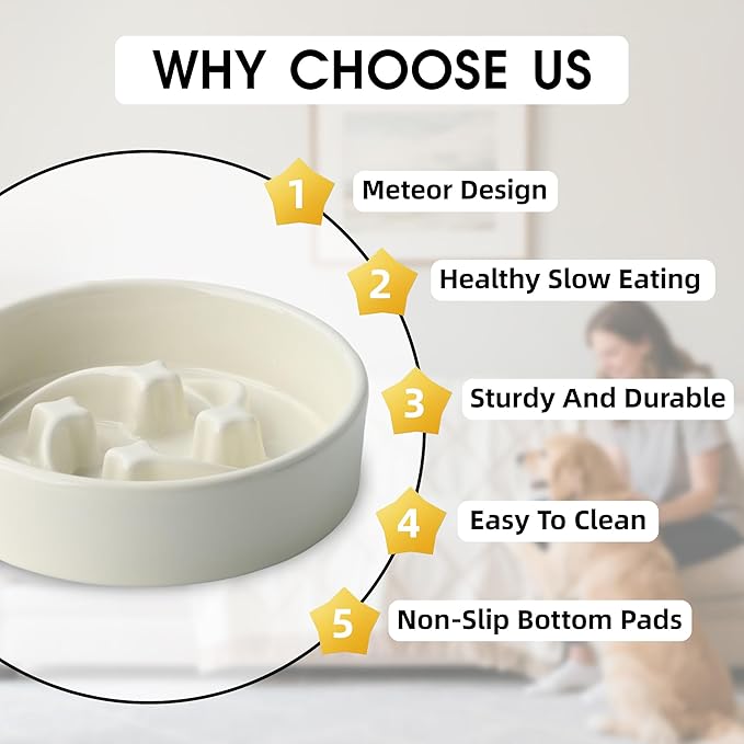 Ceramic Slow Feeder Dog Bowls Small Breed, 0.6 Cups Slow Eating Dog Bowl, Anti-Gulping Puppy Food Bowl Reduce Choking, Puzzle Maze Design Pet Dishes for Fast Eaters, 6.3 inch - Beige