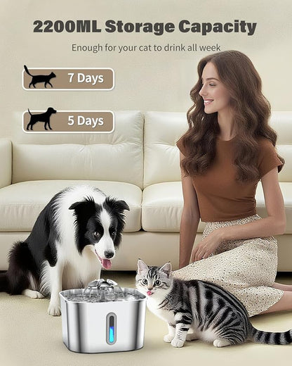 Wonder Creature Cat Water Fountain Stainless Steel, 74oz/2.2L Automatic Quiet Cat Drinking Fountain, Indoor Water Dispenser for Cats, Kittens, Small Dogs and Pets, Circulating Pet Water Fountain