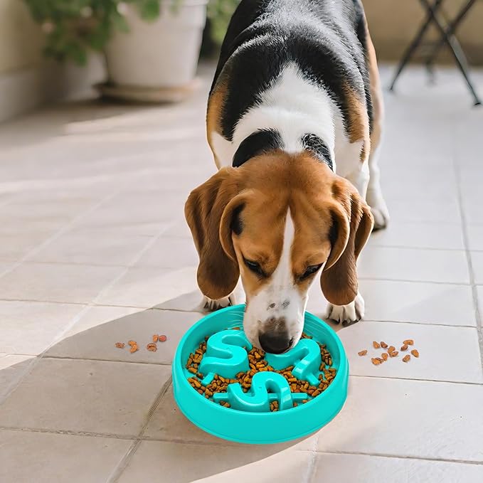 Slow Feeder Dog Bowls, Maze Dog Bowl Slow Feeder for Healthy Eating, Non-Slip Dog Food Bowl, Food-Grade Puppy Bowl, Slow Feeder Cat Bowl & Cat Food Bowl, Puzzle Dog Bowls for Small & Medium Pets