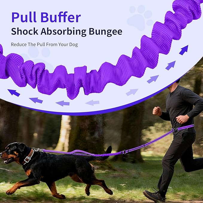 Kazazoo Hands-Free Dog Leash with 6-9FT Adjustable Length - Heavy Duty No Pull Bungee Design, Reflective Safety for Walking, Jogging & Training | Suitable for Medium to Large Dogs Purple L