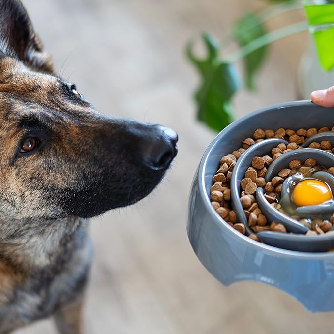 Messy Mutts Interactive Slow Feeder Bowl