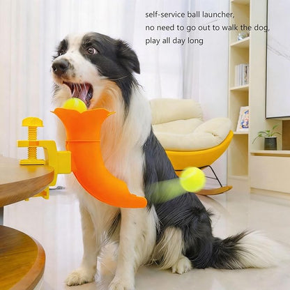 Automatic Ball Starter for Engaging Activity and Exercise Using Detection Technology