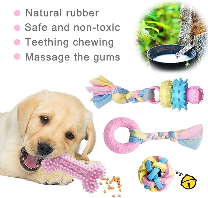 Puppy Teething Chew Toys for Small Dogs - Interactive Rope Toy, Balls, Ring, and Storage Basket (C)