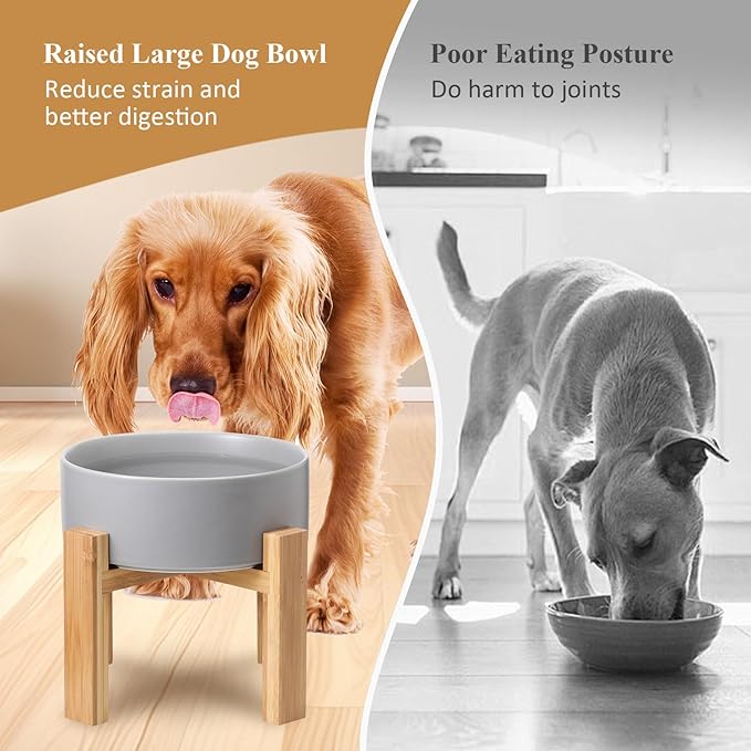 Raised Ceramic Large Dog Bowl - Heavy Weighted Dog Dish with Bamboo Stand - Elevated for Comfortable Feeding - 8.3" W x 8" H - 4.5 Cups (68 fl oz) - Grey