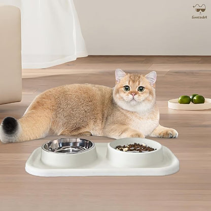 Waterproof Silicone Cat Food Bowls, Stainless Steel & Silicone Slow Feeder Double Bowls, Non-Skid & Non-Spill Raised Edge, Food and Water Feeder for Cat and Puppy