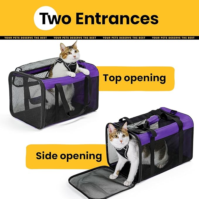 Cat Carrier Bag,Soft-Sided Pet Carriers for Dogs with 4-Sided Mesh,Airline Approved Cat Transport Carrier for Small&Medium Cats Kitten Puppy Up to 15LB,Collapsible Cat Travel Carrier-M,Purple