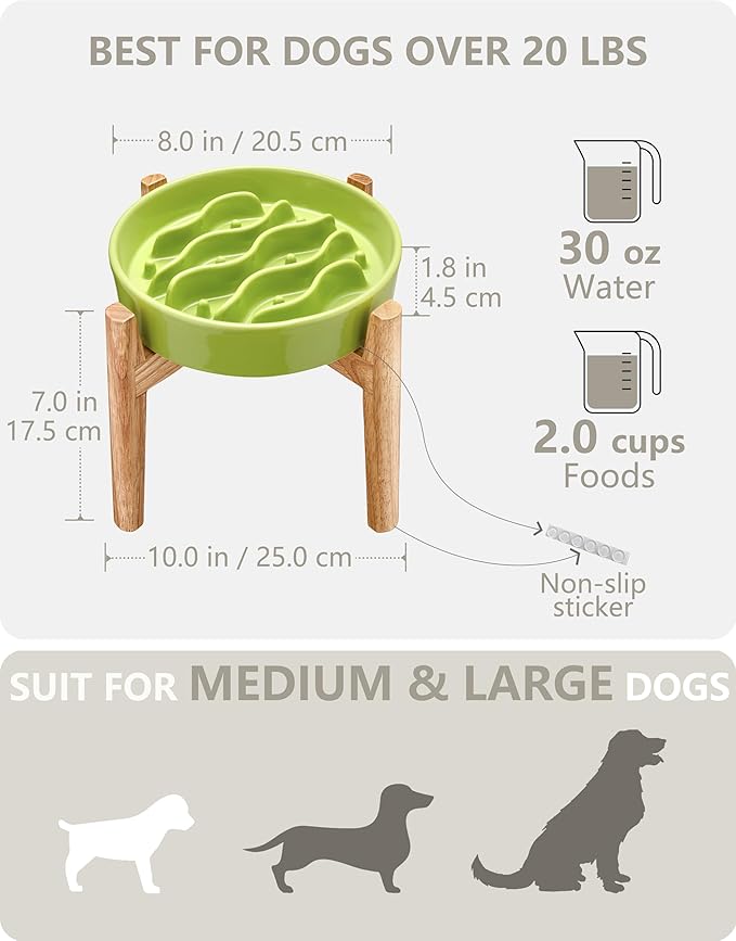 Ceramic Slow Feeder Dog Bowls Elevated, 2.0 Cups Dog Slow Feeder for Medium and Large Dogs, 30oz, 8in, Lime Green