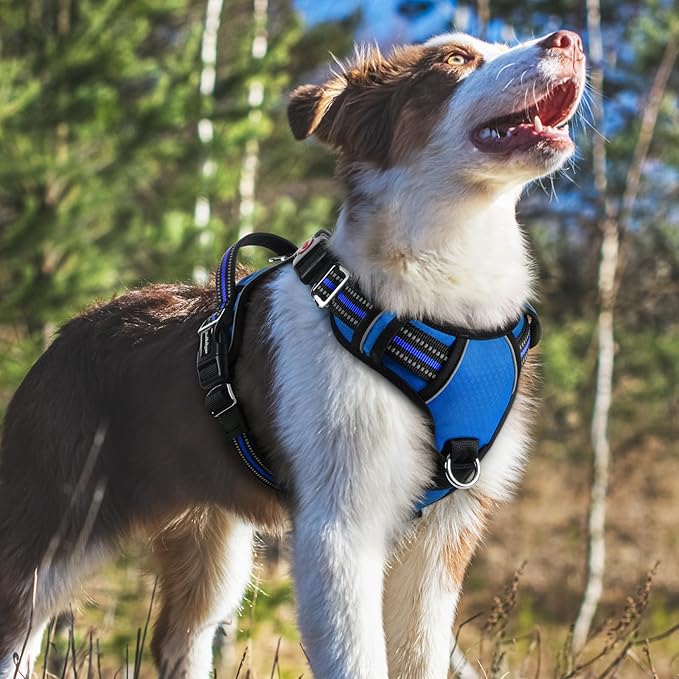 rabbitgoo Dog Harness Medium Sized, No Pull Dog Vest with 3 Buckles, Adjustable Soft Padded Pet Harness with Easy Control Handle and Reflective Strips, Royal Blue, M