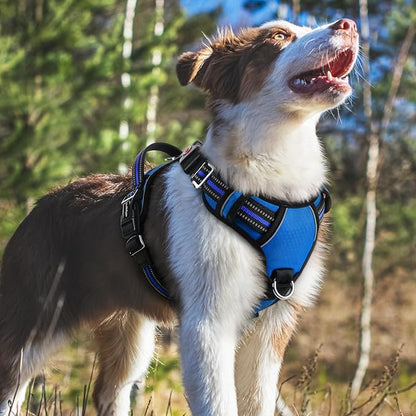 rabbitgoo Dog Harness Medium Sized, No Pull Dog Vest with 3 Buckles, Adjustable Soft Padded Pet Harness with Easy Control Handle and Reflective Strips, Royal Blue, M