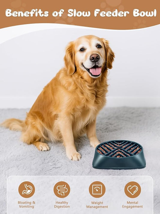 KASBAH Slow Feeder Dog Bowls Large Breed, 5 Cups Capacity for Wet & Dry Food, Puzzle Maze Bowl for Fast Eaters, Non-Slip Base, BPA Free, Helps Prevent Bloat and Aid Digestion