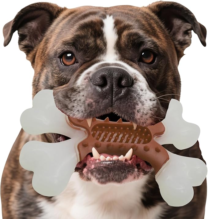 LaRoo Dog Chew Toys for Aggressive Chewers, Durable Nylon Bones Tough Toys for Training and Cleaning Teeth, Interactive Treat Dispensing Toy for Small/Medium Dog, Teething Relief, Meat Flavor (Brown)