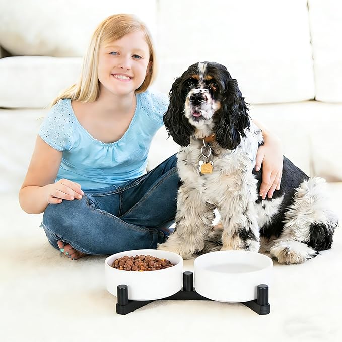 Ceramic Dog Bowl and Cat Bowls Set with 15° Adjustable Wood Stand, Non-Slip Weighted Pet Food and Water Bowls, Dual Raised Feeder for Small Dogs, Matte Glaze Pet Dish 13.5oz Set of 2 (Ceramic White)
