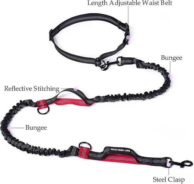 Mile High Life Hands Free Waist Leash for Dog Running Training and Jogging, Adjustable Belt with Double Handle, Reflective Bungee for Medium Large Dogs (Red, 7FT)