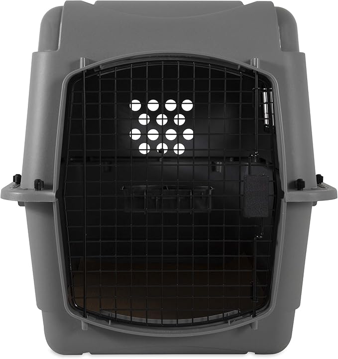 Petmate Sky Kennel Pet Carrier (32 Inch) and Petmate 290300 Kennel Travel Kit