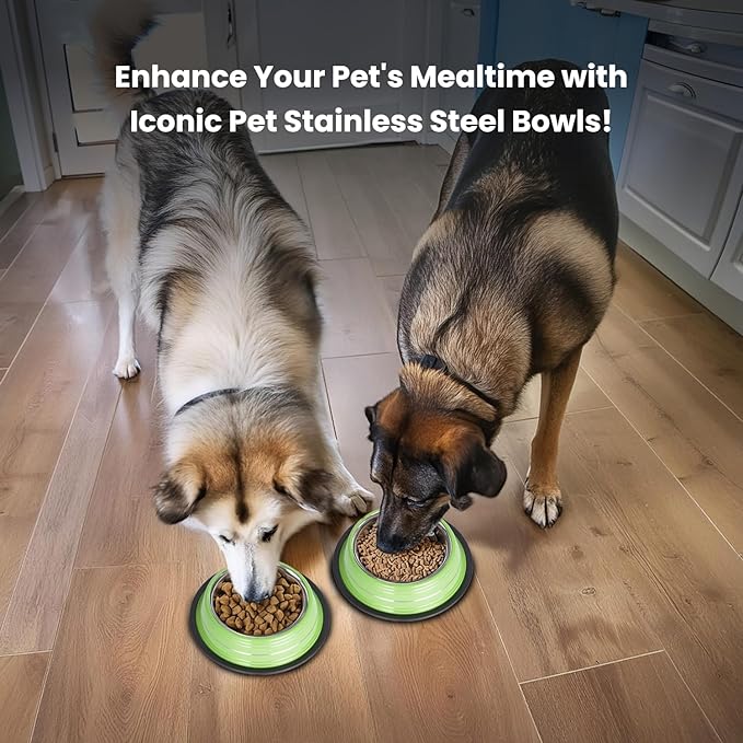 Iconic Pet 8 Cup/64 Oz Elegant Stainless Steel Color Splash Food/Water Bowl with Non Skid, Noise Free, Removable Rubber Ring - Dog/ Cat Feeding Bowl In color shade, Dishwasher Safe - Green, 2 Bowls