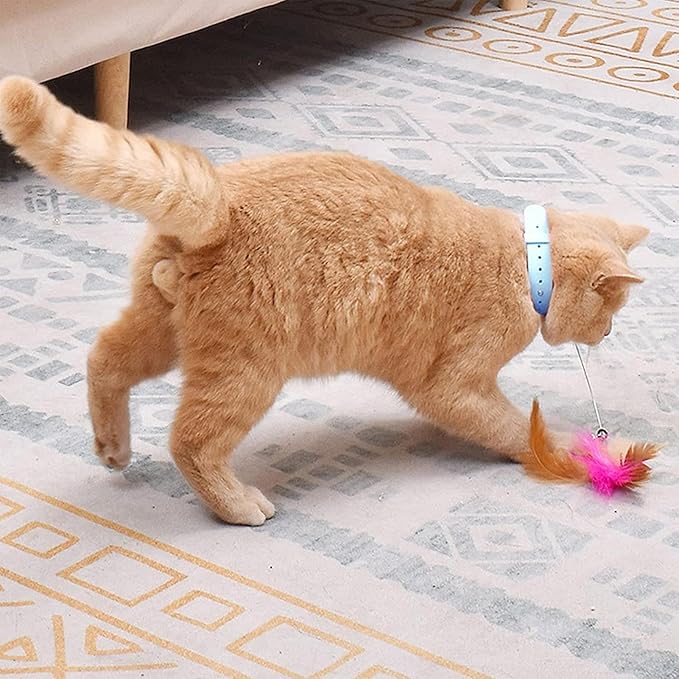 Interactive Wand Toy - Cat Teaser Plaything, Suction Cup Feather Wire Teaser | Flexible Cat Wand with Colorful Feathers for Active Kitten | Steel Wire Cat Toy for Exercising and Chasing Fun