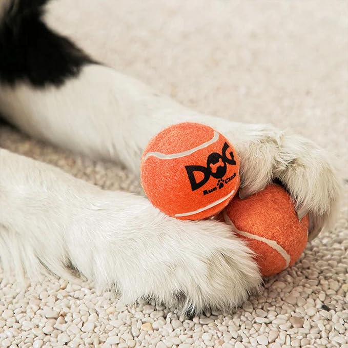 Small Tennis Balls for Dogs - 6 Pack 2.0" Squeaky Dog Balls for Small Breed, SGS Certified Non-Toxic, Interactive Fetch Toys, Perfect for Outdoor & Indoor Play