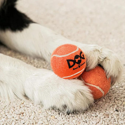 Small Tennis Balls for Dogs - 6 Pack 2.0" Squeaky Dog Balls for Small Breed, SGS Certified Non-Toxic, Interactive Fetch Toys, Perfect for Outdoor & Indoor Play