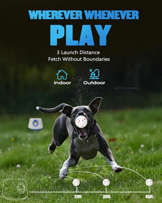 Automatic Ball Thrower for Dogs, Ball Launcher for Dogs - 2.3" Dog Balls * 6Pack (Blue)