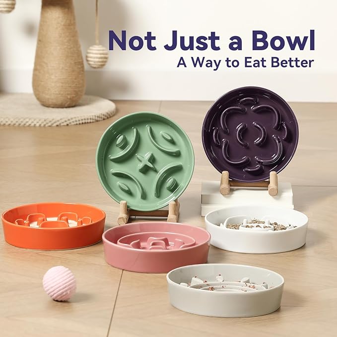 Ceramic Slow Feeder Dog Bowl - Feeding Dish for Fast Eaters - Maze Dog Bowl to Slow Down Eating - Ideal Food Control Dish for Small Breeds - 0.8 Cups (80g) - 6.3 Inch - Green