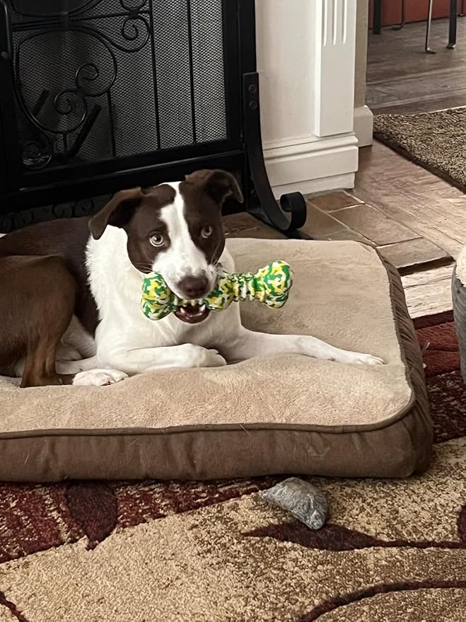 Dog Chew Toys for Aggressive Chewers, Safe Bamboo Fiber & Nature Rubber-Partially Degradable,Teething Cleaning Toys for Small Medium Large Dog Breeds Green L