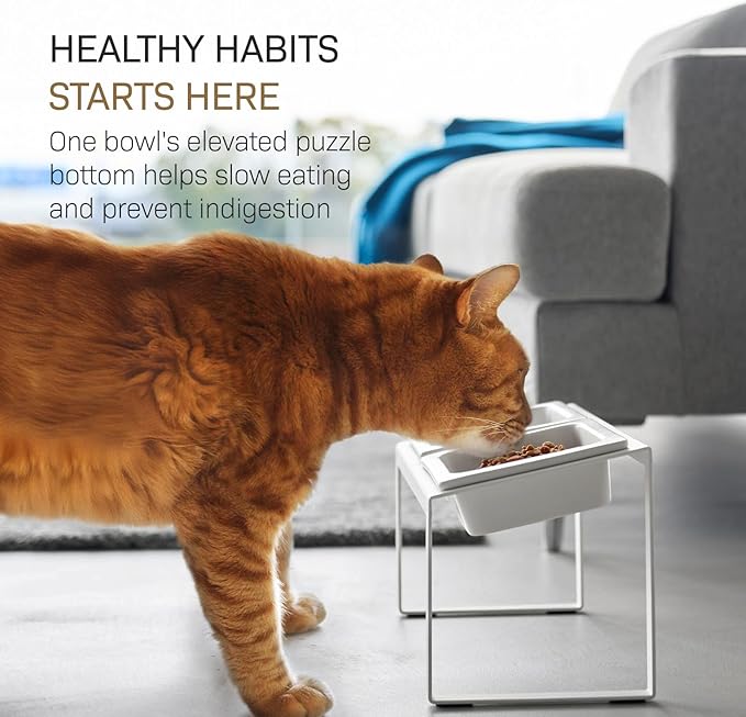 Yamazaki Home Slow Feeder Ceramic Pet Bowl with Elevated Stand – Small, Ceramic Bowl Set with Anti-Choking Puzzle for Cats and Small Dogs, Angled Design, White - 0.75 Cups, 180 ml