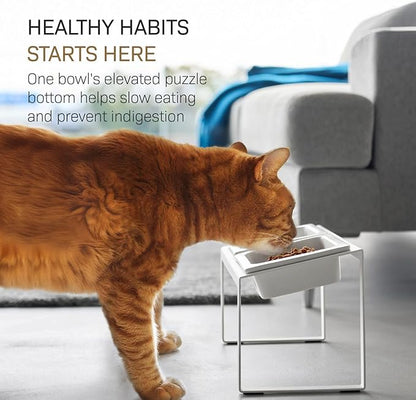 Yamazaki Home Slow Feeder Ceramic Pet Bowl with Elevated Stand – Small, Ceramic Bowl Set with Anti-Choking Puzzle for Cats and Small Dogs, Angled Design, White - 0.75 Cups, 180 ml