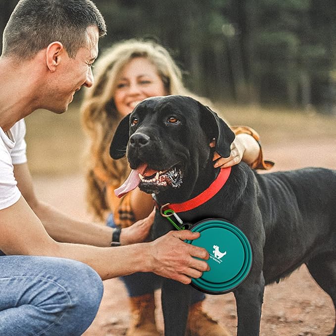 Collapsible Dog Bowls for Travel, 2-Pack Dog Portable Water Bowl for Dogs Cats Pet Foldable Feeding Watering Dish for Traveling Camping with Carabiners, BPA Free (Green&Blue, Medium (Pack of 2))