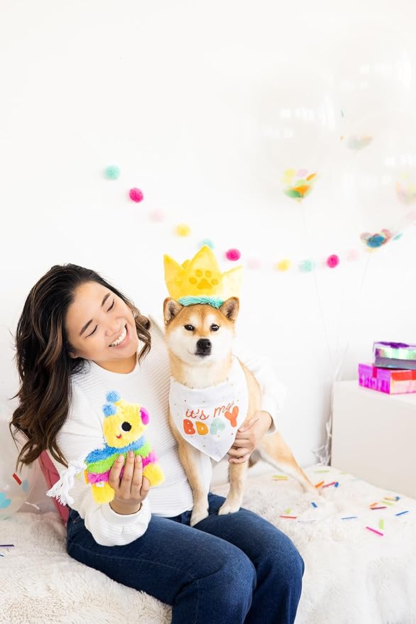 Pearhead Puppy Pinata Dog Toy, Rope Tug Toy for Dogs, Colorful Interactive Dog Toys, Party Pinata Toy for Dogs, Plush Chew Toy, Pet Owner Must Have Toy