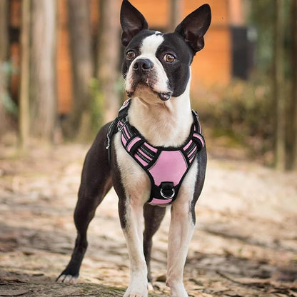 rabbitgoo Dog Harness Small Sized, No Pull Dog Vest with 3 Buckles, Adjustable Soft Padded Pet Harness with Easy Control Handle and Reflective Strips, Light Pink, S
