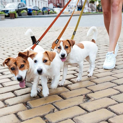 azuza 3 Pack Fall Nylon Dog Leashes Strong & Durable Basic Dog Leash with Easy to Use Collar Hook for Small Dogs, S (6FT,5/8")