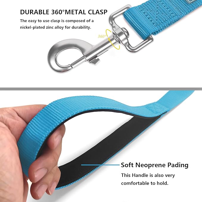 Basic Dog Leashes 6 FT Padded Handle Nylon Dogs Leashes for Large Dogs Light Blue