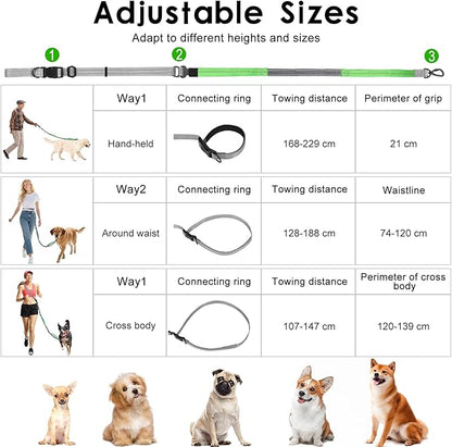 Hands Free Dog Leash, 8.2 FT Waist Leash for Walking, Jogging, Hiking, Adjustable Crossbody Belt with Double Padded Handles, Bungee Car Seatbelt Design for Medium Large Dogs, Gray + Green
