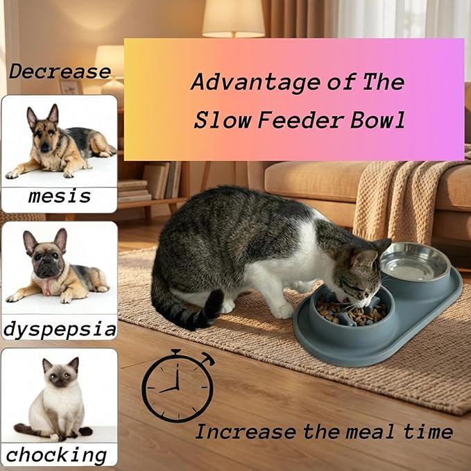 Slow Feeder Dog Bowls, 2-in-1 Dog Slow Feeder Bowl with Stainless Steel Water Bowl, Anti-Slip Non-Spill Puzzle Feeder for Dogs Cats, Bloat Prevention Set for Puppies & Large Breeds