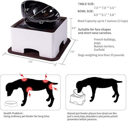 Raised Tilted Dog Feeding Bowl,Elevated Ceramic Dog Bowls Set Anti-Slip,Standing Pet Feeding Dish for Small Medium Dogs and Cats,Black