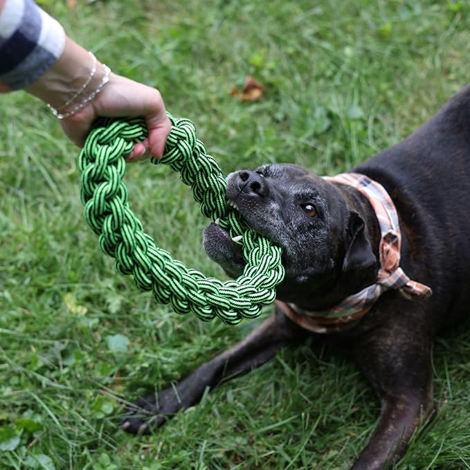 Jolly Pets TIK-Tak-Tugzz Small/Medium O Rope Dog Toy