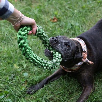 Jolly Pets TIK-Tak-Tugzz Small/Medium O Rope Dog Toy