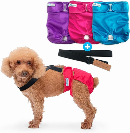 Paw Inspired Reusable Washable Dog Diapers (Pack of 3) in Assorted Colors with White Lining and Dog Diaper Suspenders in Black Combo Pack (Small)