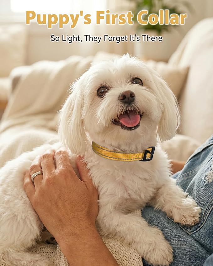 Joytale Small Dog Collar, Durable Double-Sided Reflective Nylon Collar for Night Safety, Adjustable Quick-Release for Active Breeds, Khaki, S (3/4" Width)