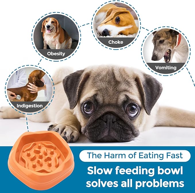 VANNON Slow Feeder Dog Bowls Non Slip Puppy Bowl Durable Dog Puzzle Feeder Bloat Stop Food Bowls for Puppy and Small Dogs, BPA Free, 2 Cups, Orange