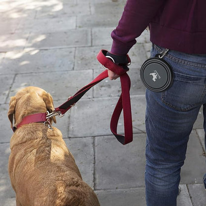 Collapsible Dog Bowls for Travel, 2-Pack Dog Portable Water Bowl for Dogs Cats Pet Foldable Feeding Watering Dish for Traveling Camping with Carabiners, BPA Free (Grey&Pink, Small (Pack of 2))