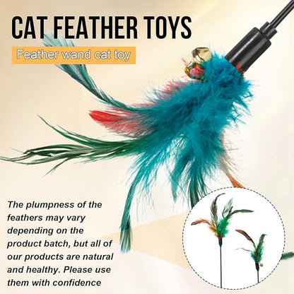 Leitee 50 Pcs Cat Wand Toy Feather Stick Cat Toy Bulk Feather Toys and Teaser Wand Bulk Interactive Stick for Indoor (Multi-Color)