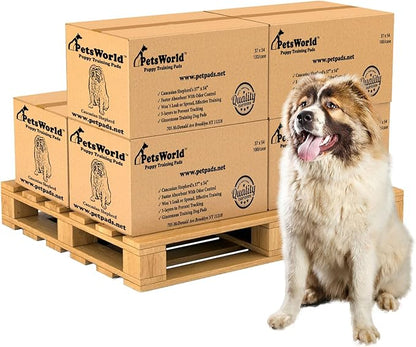 PetsWorld Enormous Dog Pee Pads 37"x54" 600 Count – XXXL Pet Pee Pads for Giant Dogs & Pets, Heavy Duty Leak-Proof Dog Training Pads, Super Absorbent Quick-Dry Potty Pads with Adhesive Tabs