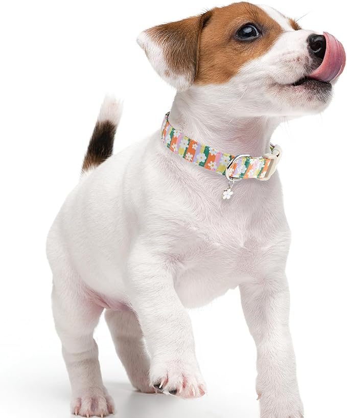 Faygarsle Colorful Floral Dog Collar, Cotton Fabric with Daisy Pattern, Multi-Color Stripes Spring Summer Design for Small Medium Large Dogs L