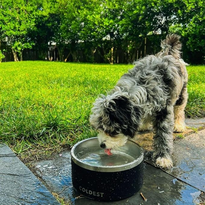 Coldest Dog Bowl - Anti Rust Metal, Non Slip, 3 Layers Insulated Stainless Steel Dog Bowls - Spill Proof & Heavy Duty - Water Bowl for Dogs, Cats, Dish Washer Safe (42 oz, Polished Stainless Steel)